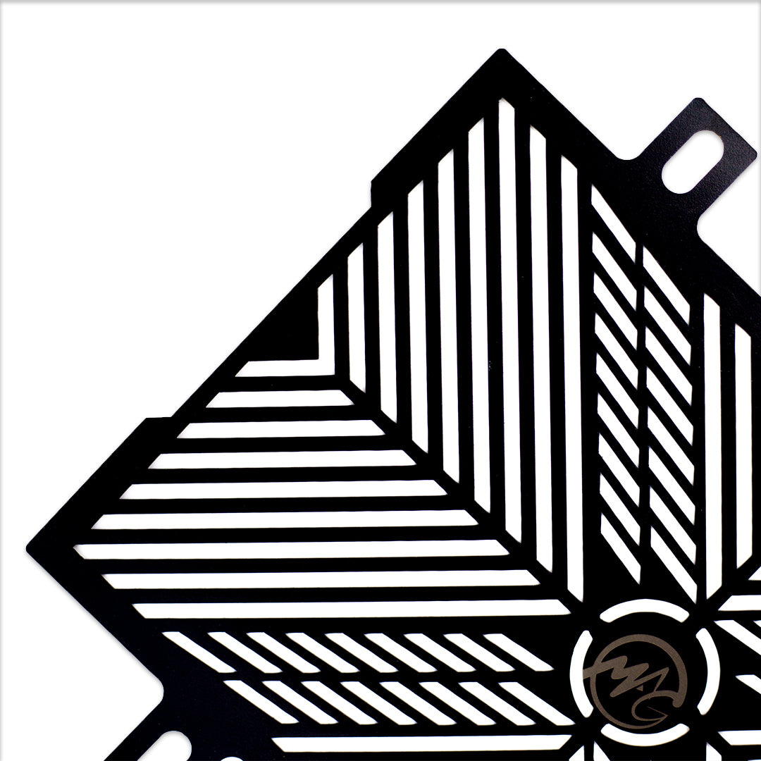 Radiator guard for TVS RR 310